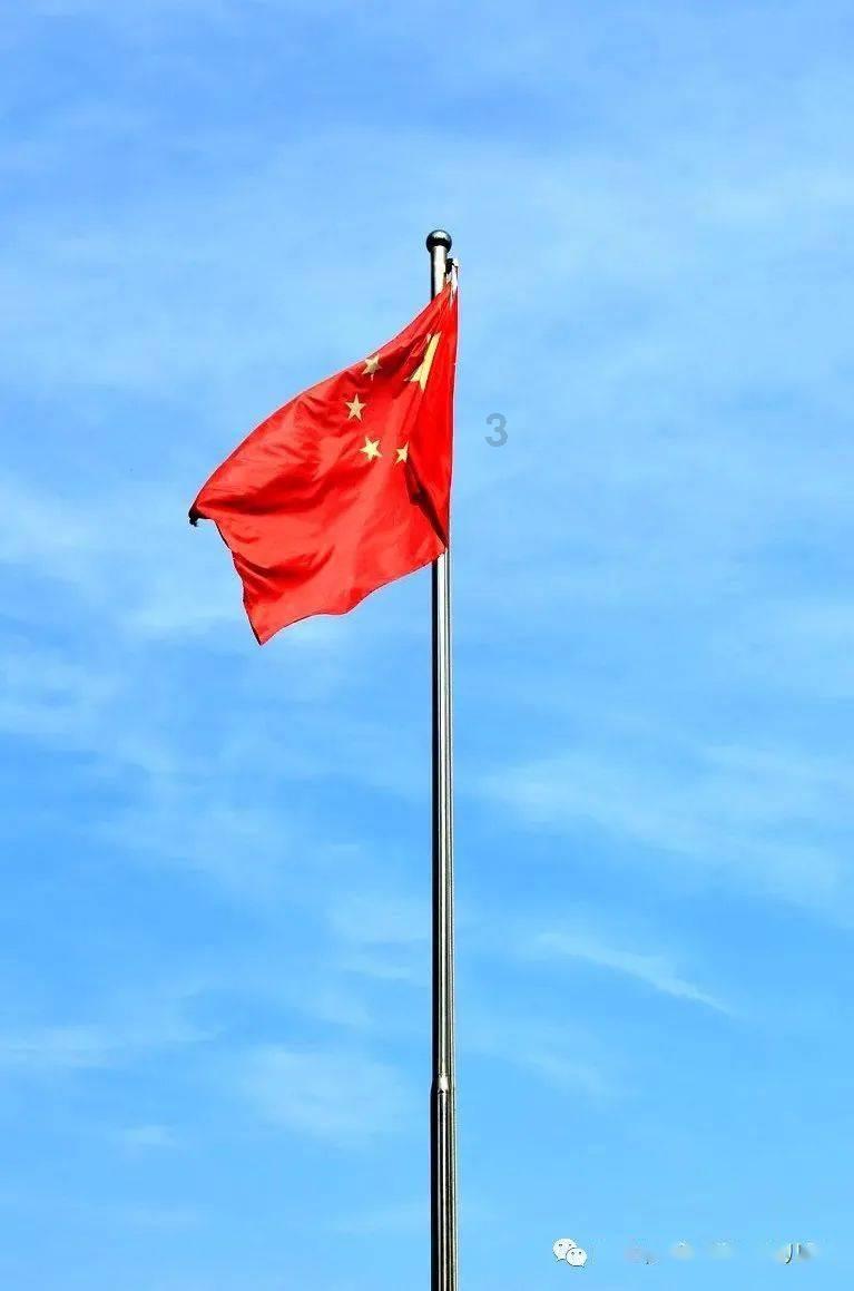 虫虫助手下载